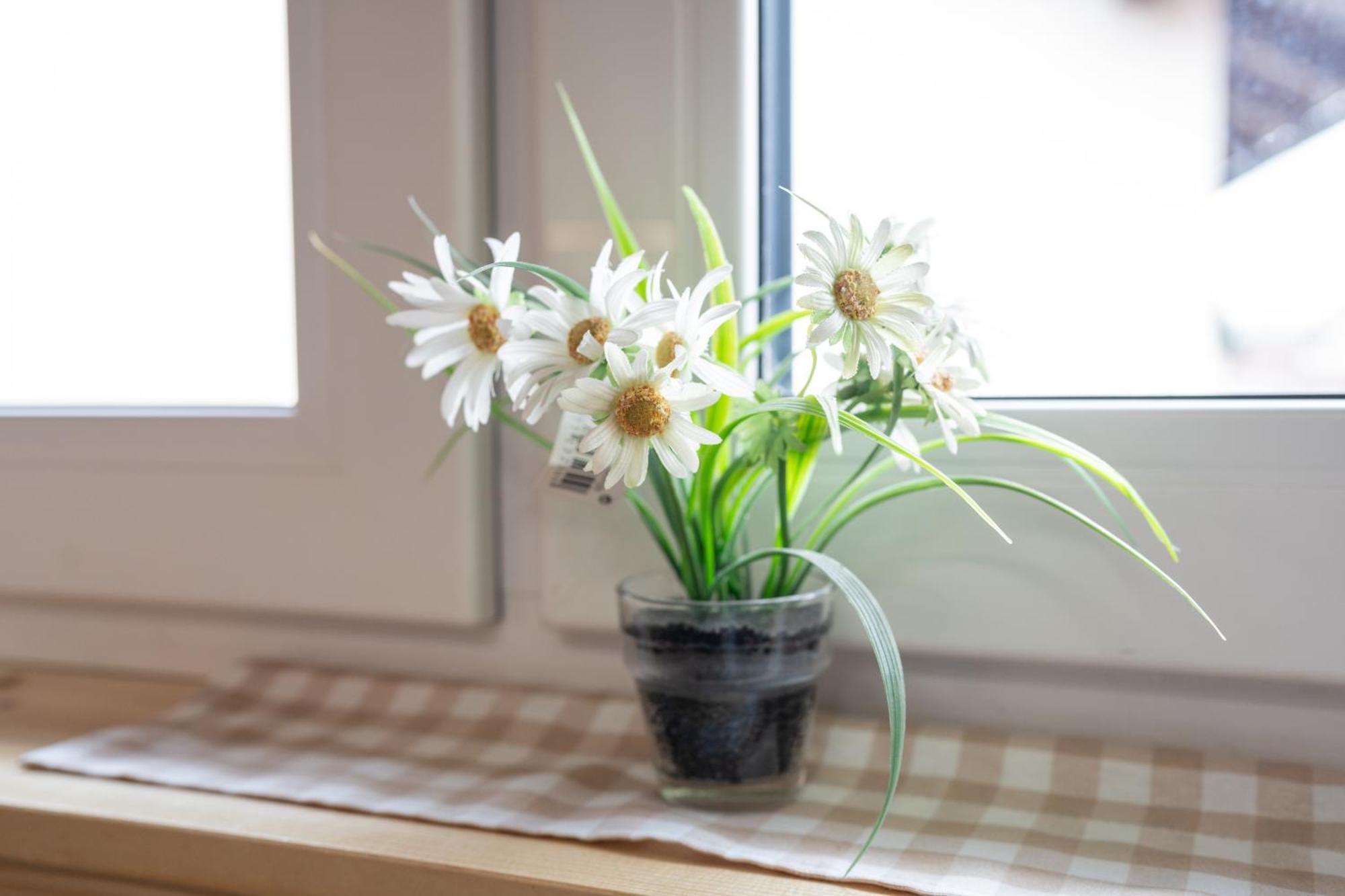 Appartement Apartmaji Babi